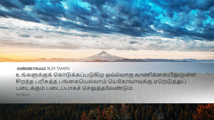 எண்ணாகமம் 18:29 TAMIRV Desktop Wallpaper - உங்களுக்குக் - Desktop Bible Verse Wallpaper