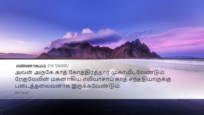 எண்ணாகமம் 2:14 TAMIRV Bible Verse Image