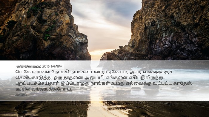 எண்ணாகமம் 20:16 TAMIRV Bible Verse Image