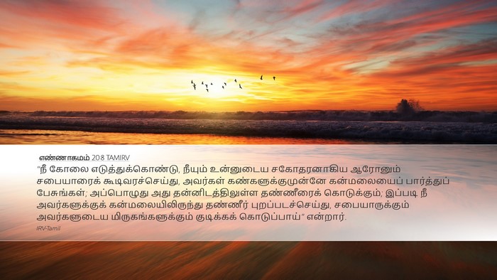 எண்ணாகமம் 20:8 TAMIRV Bible Verse Image