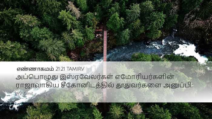 எண்ணாகமம் 21:21 TAMIRV Bible Verse Image