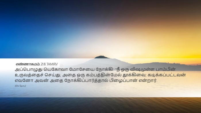 எண்ணாகமம் 21:8 TAMIRV Bible Verse Image