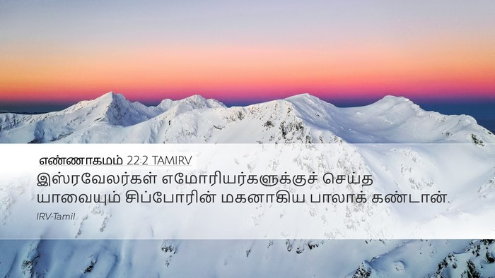 எண்ணாகமம் 22:2 TAMIRV Bible Verse Image