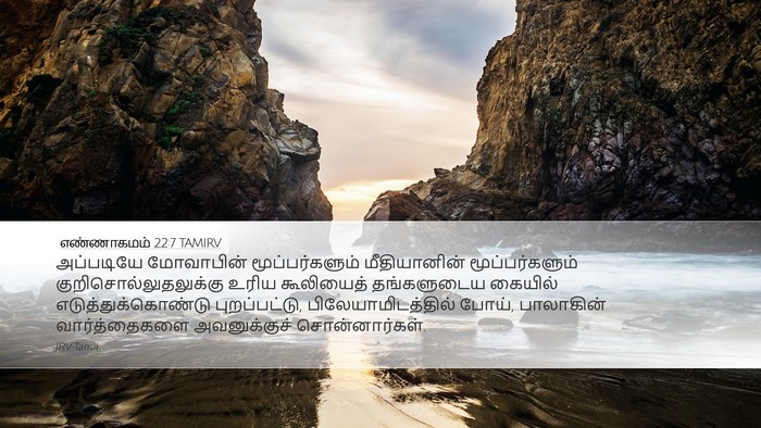 எண்ணாகமம் 22:7 TAMIRV Bible Verse Image