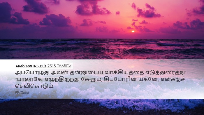 எண்ணாகமம் 23:18 TAMIRV Bible Verse Image