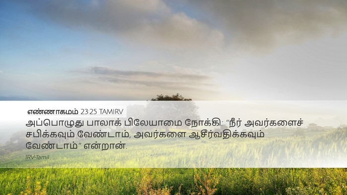 எண்ணாகமம் 23:25 TAMIRV Bible Verse Image