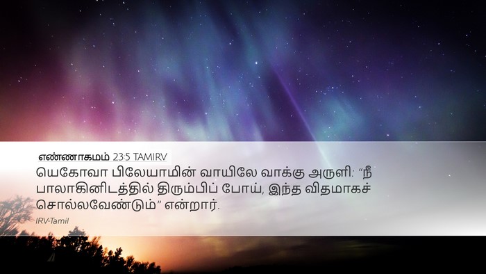 எண்ணாகமம் 23:5 TAMIRV Bible Verse Image