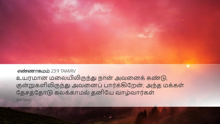 எண்ணாகமம் 23:9 TAMIRV Bible Verse Image