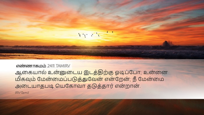 எண்ணாகமம் 24:11 TAMIRV Bible Verse Image