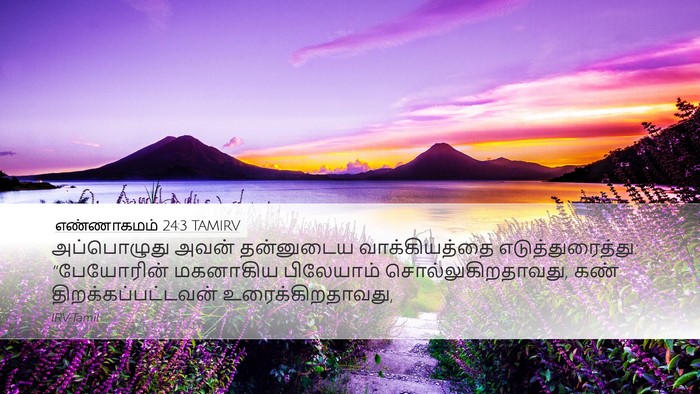எண்ணாகமம் 24:3 TAMIRV Bible Verse Image