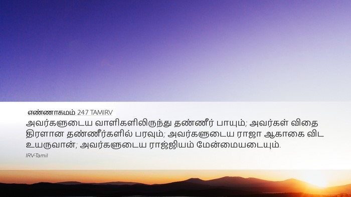 எண்ணாகமம் 24:7 TAMIRV Bible Verse Image