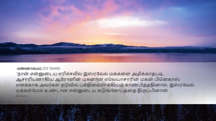 எண்ணாகமம் 25:11 TAMIRV Bible Verse Image