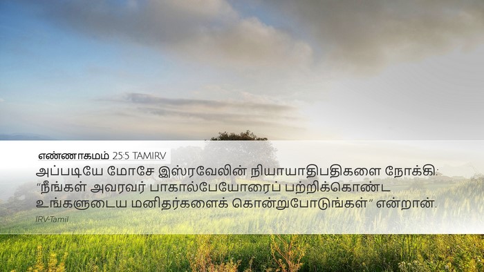 எண்ணாகமம் 25:5 TAMIRV Bible Verse Image