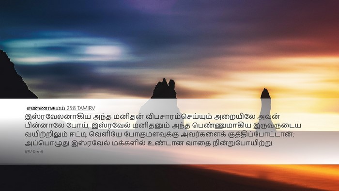 எண்ணாகமம் 25:8 TAMIRV Bible Verse Image