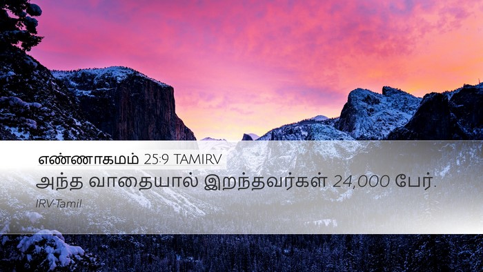 எண்ணாகமம் 25:9 TAMIRV Desktop Wallpaper - அந்த வாதையால் - Desktop Bible Verse Wallpaper