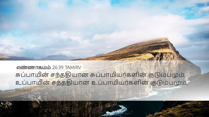 எண்ணாகமம் 26:39 TAMIRV Desktop Wallpaper - சுப்பாமின் - Desktop Bible Verse Wallpaper