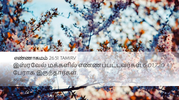 எண்ணாகமம் 26:51 TAMIRV Bible Verse Image