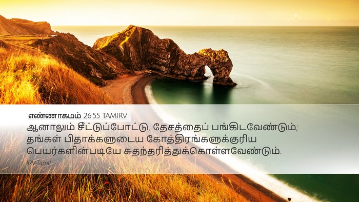 எண்ணாகமம் 26:55 TAMIRV Bible Verse Image
