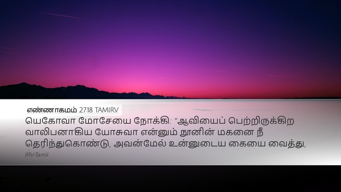 எண்ணாகமம் 27:18 TAMIRV Bible Verse Image