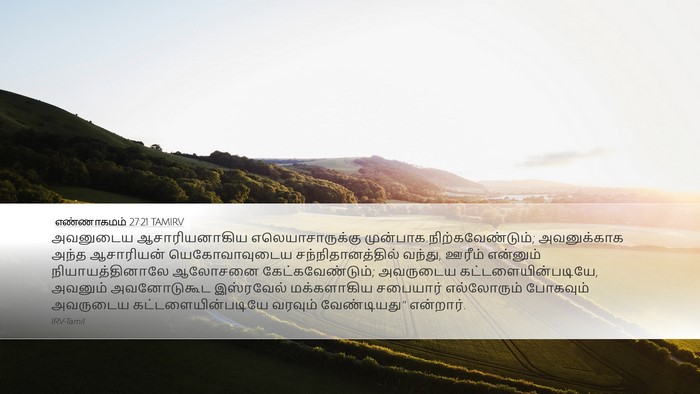 எண்ணாகமம் 27:21 TAMIRV Bible Verse Image