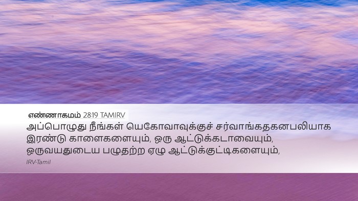 எண்ணாகமம் 28:19 TAMIRV Bible Verse Image