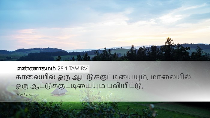 எண்ணாகமம் 28:4 TAMIRV Desktop Wallpaper - காலையில் ஒரு - Desktop Bible Verse Wallpaper