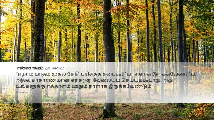 எண்ணாகமம் 29:1 TAMIRV Bible Verse Image