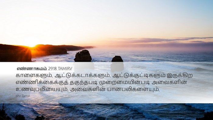 எண்ணாகமம் 29:18 TAMIRV Bible Verse Image