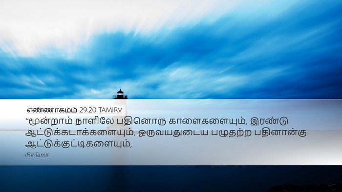 எண்ணாகமம் 29:20 TAMIRV Bible Verse Image