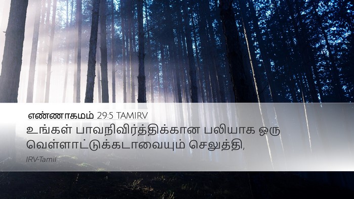 எண்ணாகமம் 29:5 TAMIRV Desktop Wallpaper - உங்கள் - Desktop Bible Verse Wallpaper