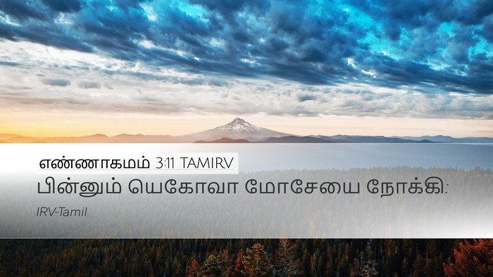 எண்ணாகமம் 3:11 TAMIRV Desktop Wallpaper - பின்னும் யெகோவா - Desktop Bible Verse Wallpaper