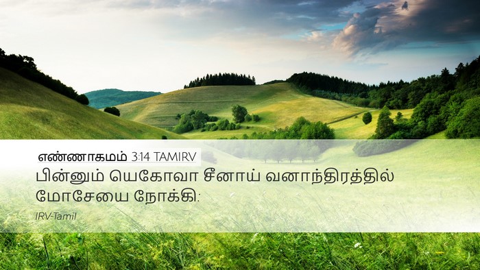 எண்ணாகமம் 3:14 TAMIRV Desktop Wallpaper - பின்னும் யெகோவா - Desktop Bible Verse Wallpaper