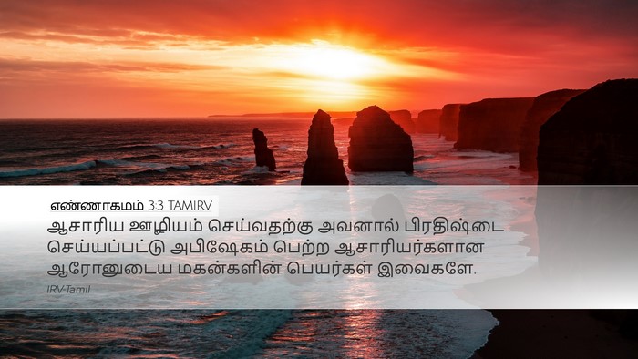 எண்ணாகமம் 3:3 TAMIRV Bible Verse Image