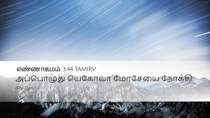 எண்ணாகமம் 3:44 TAMIRV Desktop Wallpaper - அப்பொழுது யெகோவா - Desktop Bible Verse Wallpaper