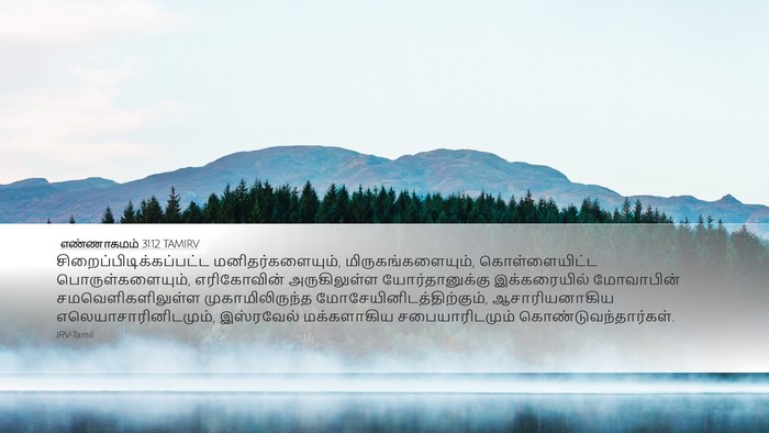 எண்ணாகமம் 31:12 TAMIRV Bible Verse Image