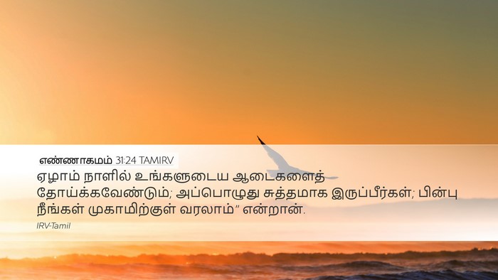 எண்ணாகமம் 31:24 TAMIRV Desktop Wallpaper - ஏழாம் நாளில் - Desktop Bible Verse Wallpaper
