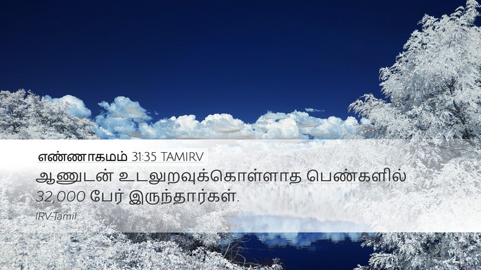எண்ணாகமம் 31:35 TAMIRV Desktop Wallpaper - ஆணுடன் - Desktop Bible Verse Wallpaper