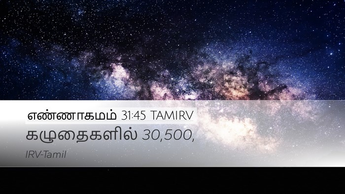 எண்ணாகமம் 31:45 TAMIRV Desktop Wallpaper - கழுதைகளில் - Desktop Bible Verse Wallpaper