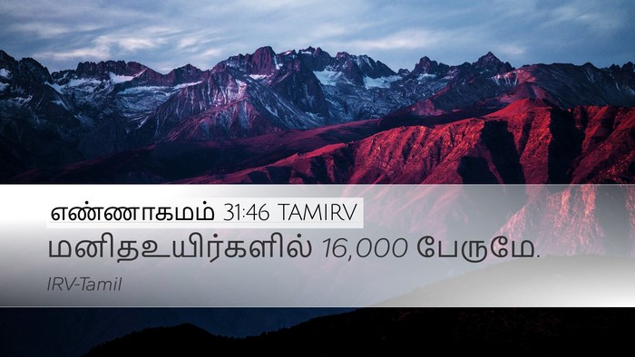 எண்ணாகமம் 31:46 TAMIRV Desktop Wallpaper - மனிதஉயிர்களில் 16,000 - Desktop Bible Verse Wallpaper