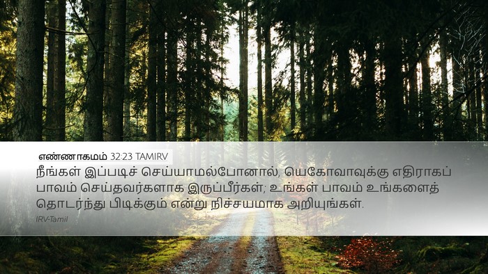 எண்ணாகமம் 32:23 TAMIRV Bible Verse Image