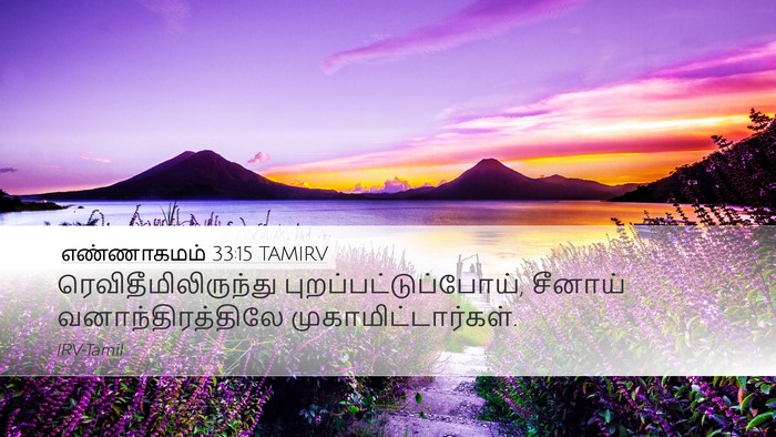 எண்ணாகமம் 33:15 TAMIRV Desktop Wallpaper - ரெவிதீமிலிருந்து - Desktop Bible Verse Wallpaper