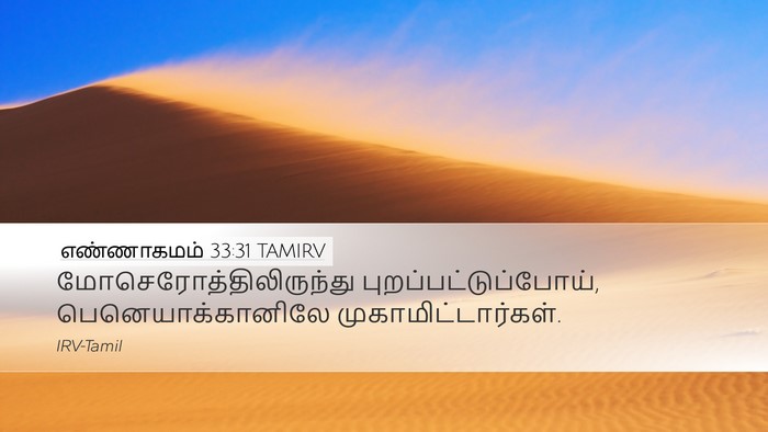 எண்ணாகமம் 33:31 TAMIRV Desktop Wallpaper -  - Desktop Bible Verse Wallpaper