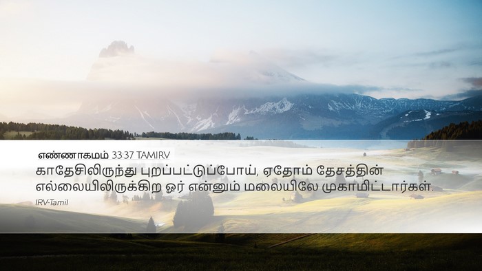 எண்ணாகமம் 33:37 TAMIRV Desktop Wallpaper - காதேசிலிருந்து - Desktop Bible Verse Wallpaper