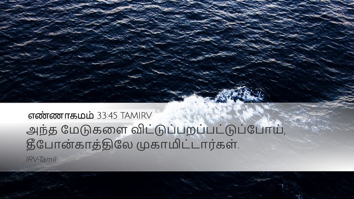 எண்ணாகமம் 33:45 TAMIRV Desktop Wallpaper - அந்த மேடுகளை - Desktop Bible Verse Wallpaper