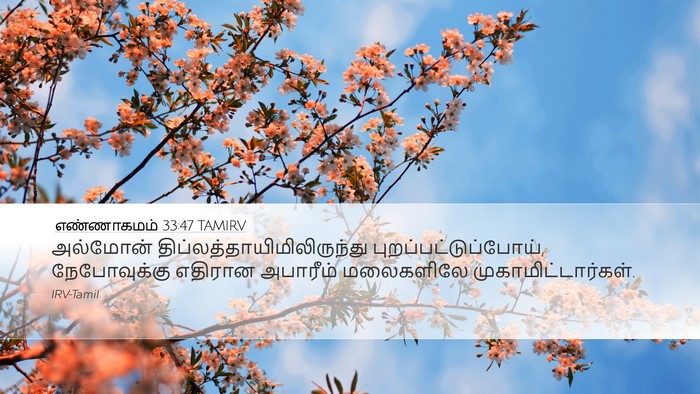எண்ணாகமம் 33:47 TAMIRV Desktop Wallpaper - அல்மோன் - Desktop Bible Verse Wallpaper