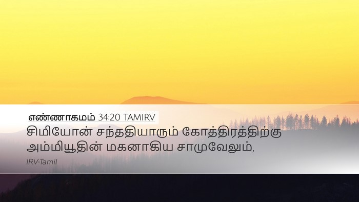எண்ணாகமம் 34:20 TAMIRV Desktop Wallpaper - சிமியோன் - Desktop Bible Verse Wallpaper