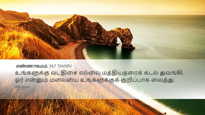 எண்ணாகமம் 34:7 TAMIRV Bible Verse Image