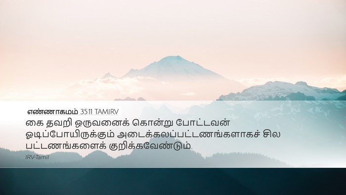 எண்ணாகமம் 35:11 TAMIRV Desktop Wallpaper - கை தவறி ஒருவனைக் - Desktop Bible Verse Wallpaper
