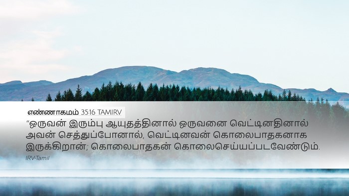 எண்ணாகமம் 35:16 TAMIRV Bible Verse Image
