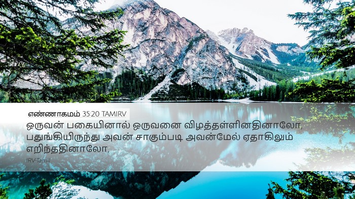 எண்ணாகமம் 35:20 TAMIRV Desktop Wallpaper - ஒருவன் பகையினால் - Desktop Bible Verse Wallpaper